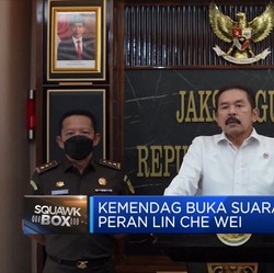 Soal Peran Lin Che Wei, Ini Kata Kemendag