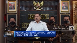 Soal Peran Lin Che Wei, Ini Kata Kemendag
