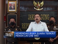 Soal Peran Lin Che Wei, Ini Kata Kemendag