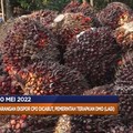 DMO CPO Diterapkan (Lagi), Hingga Sri Lanka Gagal Bayar Utang