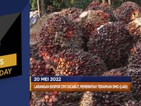 DMO CPO Diterapkan (Lagi), Hingga Sri Lanka Gagal Bayar Utang