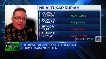 Ditopang Hal Ini, Rupiah Diyakini Bisa ke Bawah Rp 14.500/USD