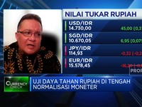 Ditopang Hal Ini, Rupiah Diyakini Bisa ke Bawah Rp 14.500/USD