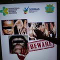 Gejala & Penularan Cacar Monyet yang Sudah Masuk Indonesia
