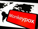 Menkes Jelaskan Kasus Cacar Monyet Pertama di RI