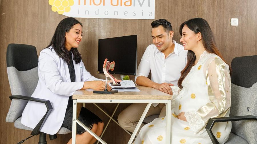 morula IVf