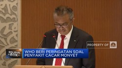 Alert! WHO Sebut Wabah Cacar Monyet Semakin Menggila