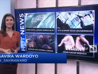 Hot News: WN Arab Dilarang ke RI, Hingga Waspada Cacar Monyet