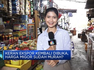 Ekspor Migor Kembali Dibuka, Harga Sudah Normal?