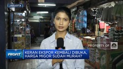 Keran Ekspor Kembali Dibuka, Harga Migor Sudah Murah?