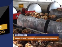 Ekspor CPO Dibuka, Hingga Jerman & Italia Beli Gas Rusia