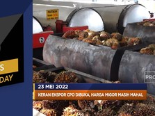 Ekspor CPO Dibuka, Hingga Jerman & Italia Beli Gas Rusia