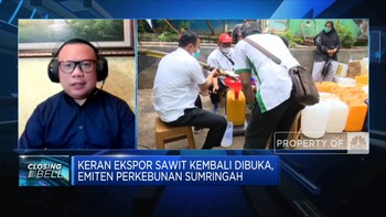 Keran Ekspor Sawit Dibuka, Emiten Perkebunan Sumringah