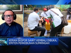 Keran Ekspor Sawit Dibuka, Emiten Perkebunan Sumringah
