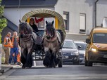 Harga Bensin Mahal, Warga Jerman Berangkat Kerja Naik Kuda