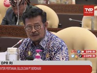 Anak Buah Jokowi Catat RI Merugi Triliunan Gegara Virus PMK