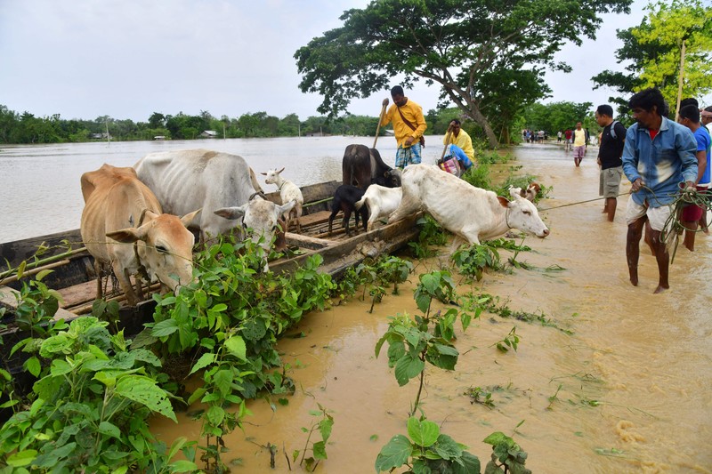 Anak-anak menaiki rakit bambu melewati daerah banjir setelah hujan lebat di distrik Morigaon, negara bagian Assam, India, Minggu (22/5/2022). Banjir adalah ancaman biasa bagi jutaan orang di dataran rendah Bangladesh dan tetangga timur laut India, tetapi banyak ahli mengatakan bahwa perubahan iklim meningkatkan frekuensi, keganasan dan ketidakpastian. (Photo by BIJU BORO/AFP via Getty Images)