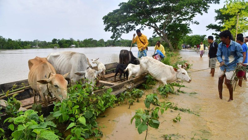 Anak-anak menaiki rakit bambu melewati daerah banjir setelah hujan lebat di distrik Morigaon, negara bagian Assam, India, Minggu (22/5/2022). Banjir adalah ancaman biasa bagi jutaan orang di dataran rendah Bangladesh dan tetangga timur laut India, tetapi banyak ahli mengatakan bahwa perubahan iklim meningkatkan frekuensi, keganasan dan ketidakpastian. (Photo by BIJU BORO/AFP via Getty Images)