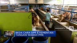 Beda Cara DPR & Kementan Tangani Wabah PMK