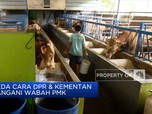 Beda Cara DPR & Kementan Tangani Wabah PMK