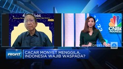 Cacar Monyet Menyebar, Indonesia Wajib Waspada?