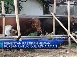 Kementan Pastikan Hewan Kurban Untuk Idul Adha Aman