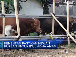 Kementan Pastikan Hewan Kurban Untuk Idul Adha Aman