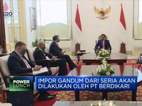 Dampak Perang Rusia, RI Mau Impor Gandum dari Serbia