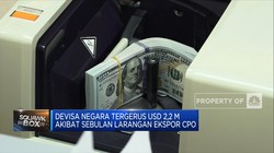 Ekspor CPO Cs Dimoratorium, Devisa RI Tergerus USD 2,2 Miliar