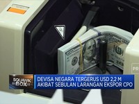 Ekspor CPO Cs Dimoratorium, Devisa RI Tergerus USD 2,2 Miliar