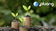 Pentingnya Kontribusi Pemuda di Green Investment Versi Pluang