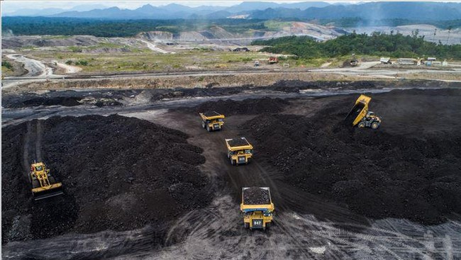 Harga Batu Bara Masih Kokoh, Tanda-Tanda Siap Melesat?