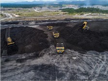Bocoran Gaji Kontraktor Tambang RI & Daftar Perusahaannya: