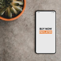 Bijaksana Pakai Fitur Paylater, Bisa Cuan Banyak Lho!