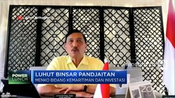 Lagi, Luhut Dapat Tugas Khusus, Tangani Minyak Goreng