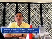 Lagi, Luhut Dapat Tugas Khusus, Tangani Minyak Goreng