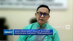 Wabah PMK Menyebar Hingga Jakarta, Pasokan Daging Terganggu?