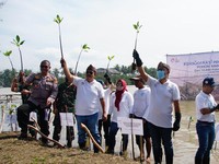 Peduli Lingkungan, BJB Tanam 2061 Pohon Mangrove