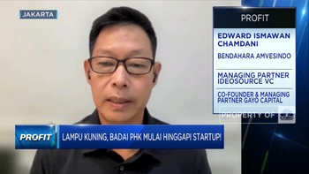 Badai PHK Mulai Hinggapi Startup, Apa Sebabnya?