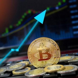 Hah! 31% Investor Pemula Kripto AS Beli Koin karena Teman?