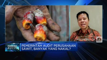 Audit Perusahaan Sawit, Pengusaha Minta Pengawasan Data
