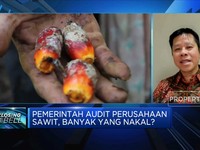 Audit Perusahaan Sawit, Pengusaha Minta Pengawasan Data
