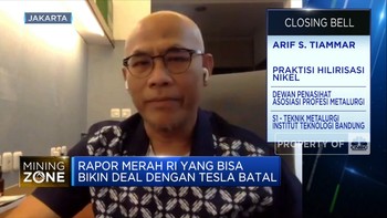 Ahli Ungkap Rapor Merah Yang Bisa Bikin Deal RI-Tesla Batal