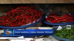 Duh! Harga Cabai Makin 'Pedas'