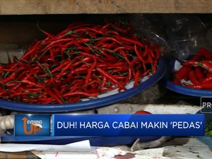 Duh! Harga Cabai Makin 'Pedas'