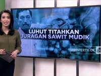Luhut Titahkan Juragan Sawit Mudik
