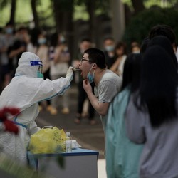 Ancaman Virus Langya Nyata, Indonesia Diintai Bahaya