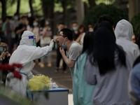 Ancaman Virus Langya Nyata, Indonesia Diintai Bahaya
