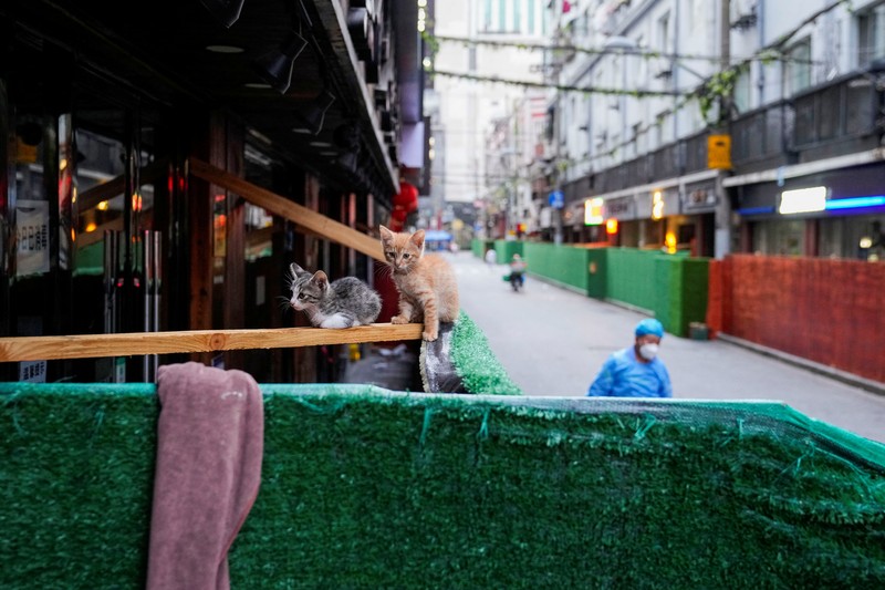 HEALTH-CORONAVIRUS/CHINA A worker dismantles barriers at a residential area, as the city prepares to end the lockdown placed to curb the coronavirus disease (COVID-19) outbreak in Shanghai, China May 31, 2022. REUTERS/Aly Song