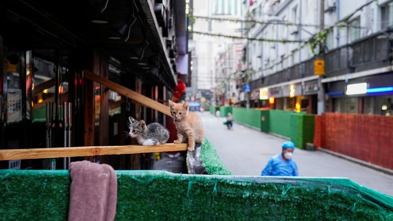 A worker dismantles barriers at a residential area, as the city prepares to end the lockdown placed to curb the coronavirus disease (COVID-19) outbreak in Shanghai, China May 31, 2022. REUTERS/Aly Song